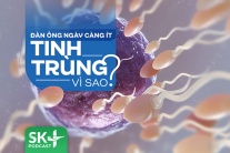 Podcast: Đàn ông ngày càng ít tinh trùng, vì sao?