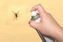 Làm sao để phòng tránh muỗi đốt?