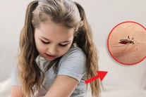 Lầm tưởng tai hại về loài muỗi