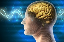 Tại sao đột quỵ gây suy giảm nhận thức?