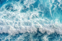 Vi khuẩn ăn thịt người có trong nước biển nguy hiểm thế nào?