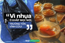 “Vi nhựa ở khắp mọi nơi, trường tồn, vĩnh cửu!”