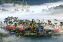 Vẻ đẹp Việt Nam qua các thước phim