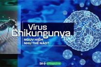 Virus chikungunya nguy hiểm như thế nào?