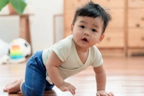 Trẻ 7 tháng tuổi chưa biết bò liệu có sao không?