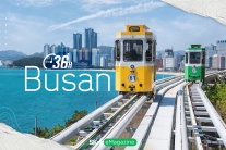 36h ở Busan