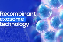 Recombinant exosome - Hướng đi mới trong nghiên cứu, hỗ trợ điều trị các bệnh mạn tính