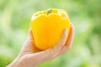 Sự thật thú vị về lợi ích của ớt chuông vàng