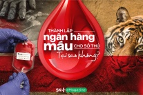 Thành lập ngân hàng máu cho sở thú: Tại sao không?