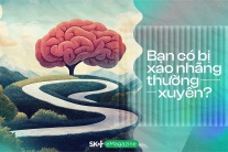 Bạn có bị xao nhãng thường xuyên?