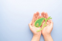 Có sỏi mật 20mm, dùng TPBVSK Kim Đởm Khang hỗ trợ được không?