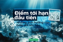 Điểm tới hạn đầu tiên và những ảnh hưởng của biến đổi khí hậu