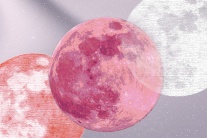 Tử vi tháng 11/2025: Thiên Bình nên tính toán kỹ trước các khoản đầu tư tài chính