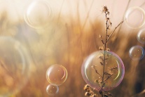 Tử vi Chủ nhật (2/11/2025): Bọ Cạp muốn lấy lại cân bằng trong cuộc sống