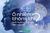 Ô nhiễm không khí ảnh hưởng thế nào đến não bộ?