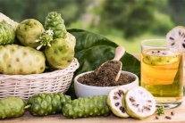 Trị đái tháo đường bằng quả nhàu có tốt không?