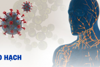 Nguy cơ nhiễm lao hạch ở người suy giảm miễn dịch