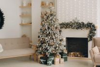 Lựa chọn cây thông Noel thật hay giả để bảo vệ môi trường?