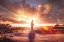 Gợi ý phim cuối tuần: 3 phim hoạt hình “hâm nóng” dịp Giáng sinh