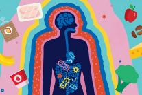 6 thói quen ăn uống khiến hệ vi sinh đường ruột suy yếu