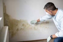 Thói quen nhỏ giúp ngăn ngừa nấm mốc trong nhà vào mùa Đông 