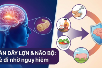 Chuyên gia WHO chỉ cách phòng ngừa bệnh sán dây lợn