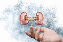 Suy thận độ 3: Giải pháp hỗ trợ làm chậm tiến triển bệnh