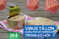 Podcast: Virus tả lợn châu Phi có “sống sót” trong đồ hộp?