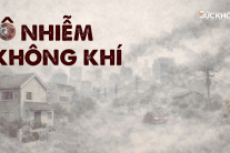 Infographic: Ô nhiễm không khí và sức khỏe con người