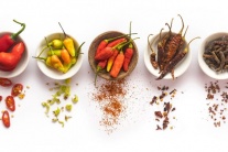 Người bị sỏi mật có ăn đồ cay được không?