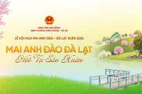 Infographic: Điểm nhấn tại Lễ hội Hoa mai anh đào Đà Lạt 
