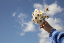 Tử vi thứ Ba (20/1/2026): Bảo Bình sẽ có một ngày khá mơ mộng