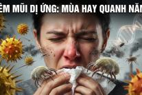 Viêm mũi dị ứng: Vì sao có người bị theo mùa, người lại mắc quanh năm?