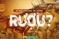 Vì sao chúng ta uống rượu?