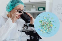 Làm sao để giảm tác hại của vi nhựa với tim mạch?