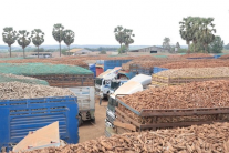 VCCI: Hội thảo “Tháo gỡ vướng mắc trong triển khai Luật An toàn thực phẩm”