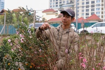 Infographic: Người dân cần chuẩn bị gì để di chuyển an toàn dịp Tết?