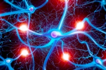 Run do mất cân bằng dẫn truyền thần kinh: Hiểu đúng để xử lý