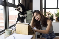 Tử vi thứ Bảy (7/2/2026): Sư Tử đang rất nghiêm túc làm việc, học tập