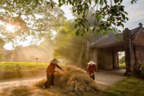 Du Xuân gần Hà Nội: Những điểm đến giàu bản sắc