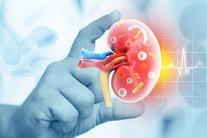 Phát hiện suy giảm chức năng thận: Cơ hội nào cho người bệnh?