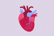 Tăng huyết áp và hở van tim nên điều trị thế nào?