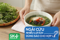 Podcast: Ngải cứu nhiều lợi ích, dùng sao cho hợp lý?