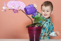 Khi con quá nhạy cảm: 4 dấu hiệu cha mẹ cần để ý