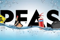 “Hóa chất vĩnh cửu” có thể ảnh hưởng đến xương của trẻ?