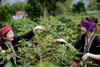 Du lịch Quảng Trị ngoài những điểm đến quen thuộc! (P2)