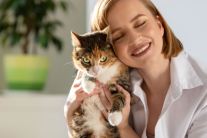 5 thói quen đơn giản giúp mèo cưng sống lâu và khoẻ mạnh