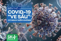 Podcast: Biến thể COVID-19 “ve sầu” có nguy hiểm không?
