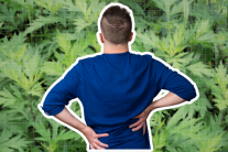 Mách bạn mẹo chữa đau lưng bằng ngải cứu đơn giản tại nhà