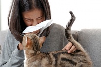 Cơ địa dị ứng có nuôi được chó mèo không?